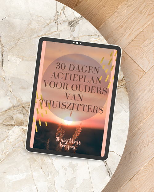 30 dagen actieplan thuiszitten crisis stappenplan ouders